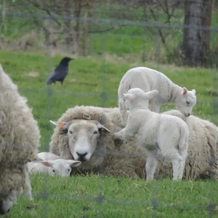 't Hoog Kamerke Zuienkerke