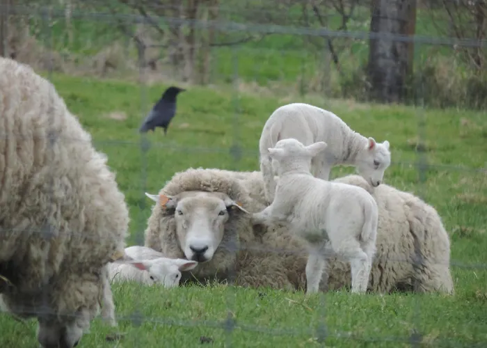't Hoog Kamerke Zuienkerke